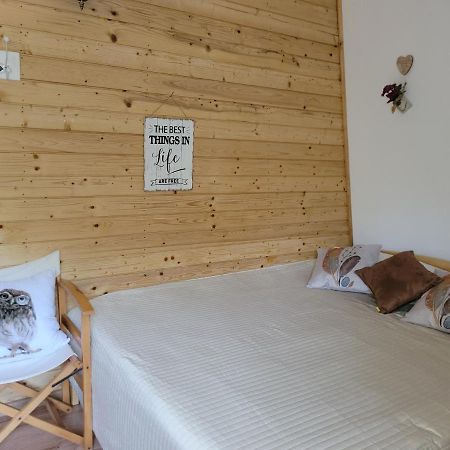 Cabana Praid Βίλα Εξωτερικό φωτογραφία
